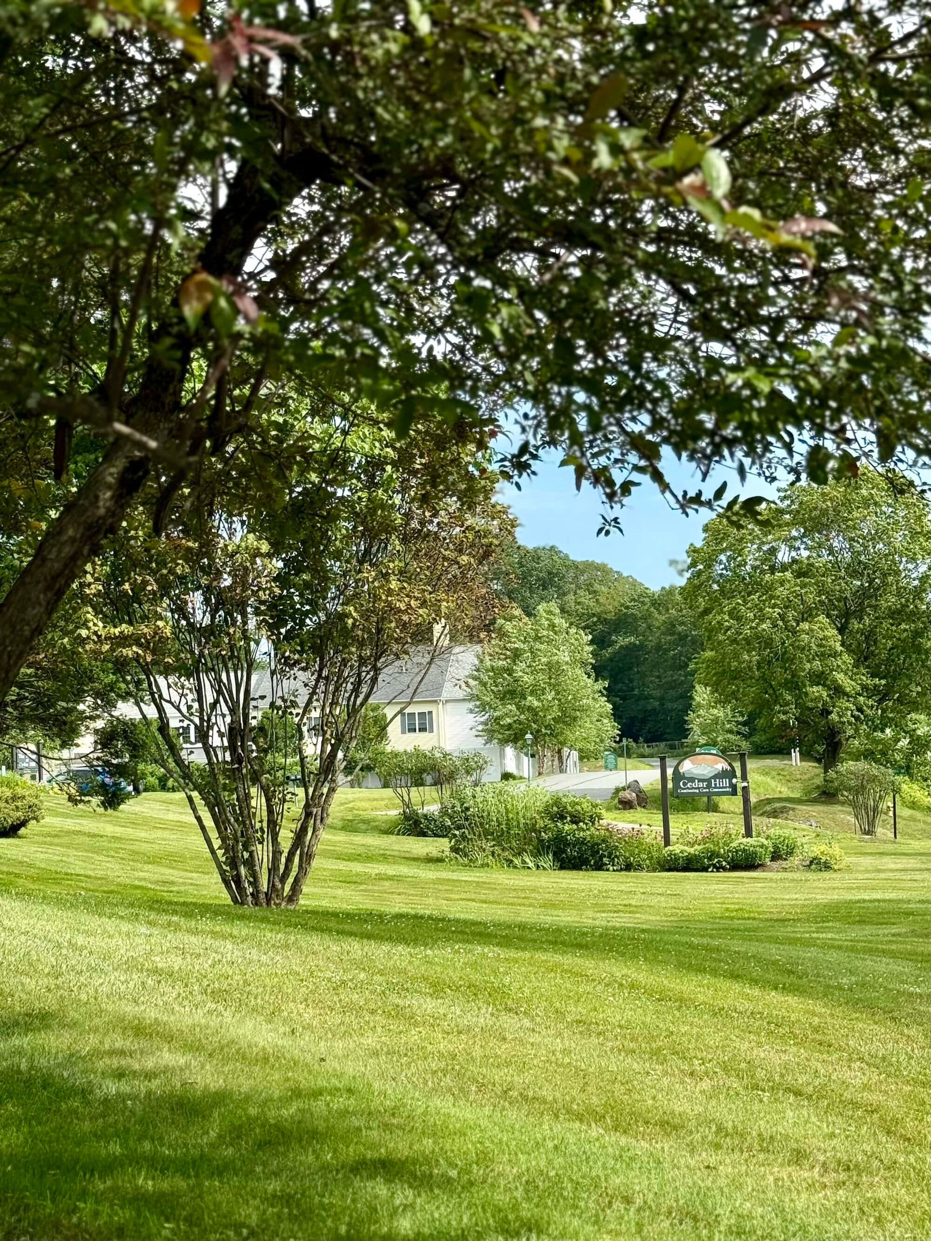Lush green lawn with trees, bushes, and a white house in the distance under a blue sky.