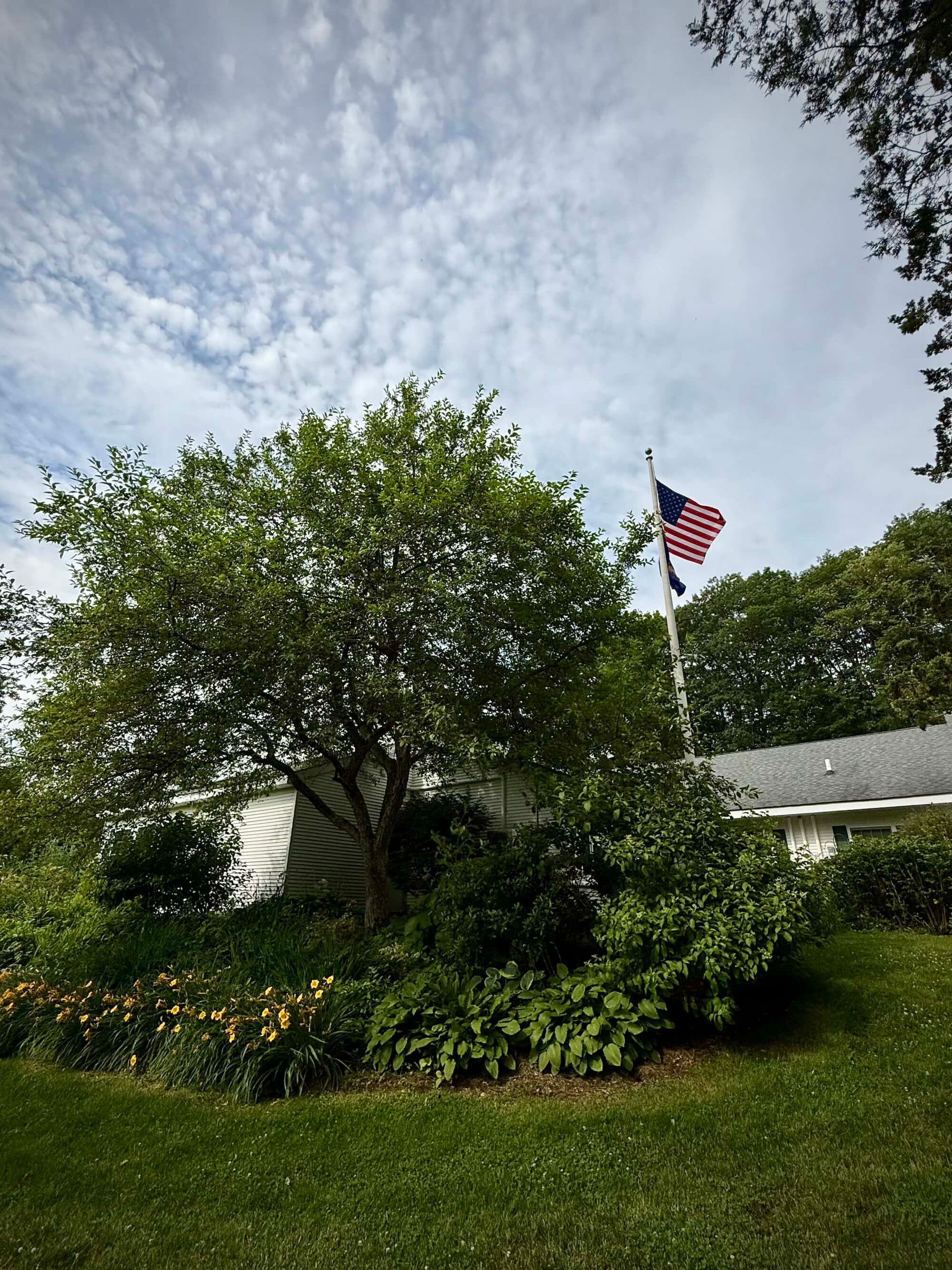 Green tree in front of a white building with an American flag waving against a cloudy sky.