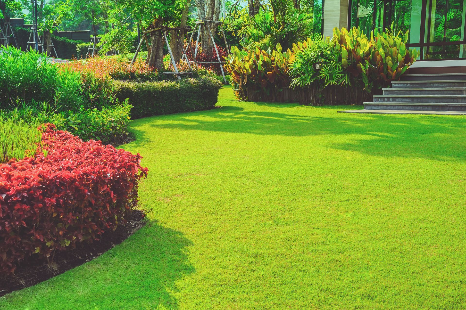 Lush green lawn with trimmed shrubs in a garden bed, next to a house with steps.