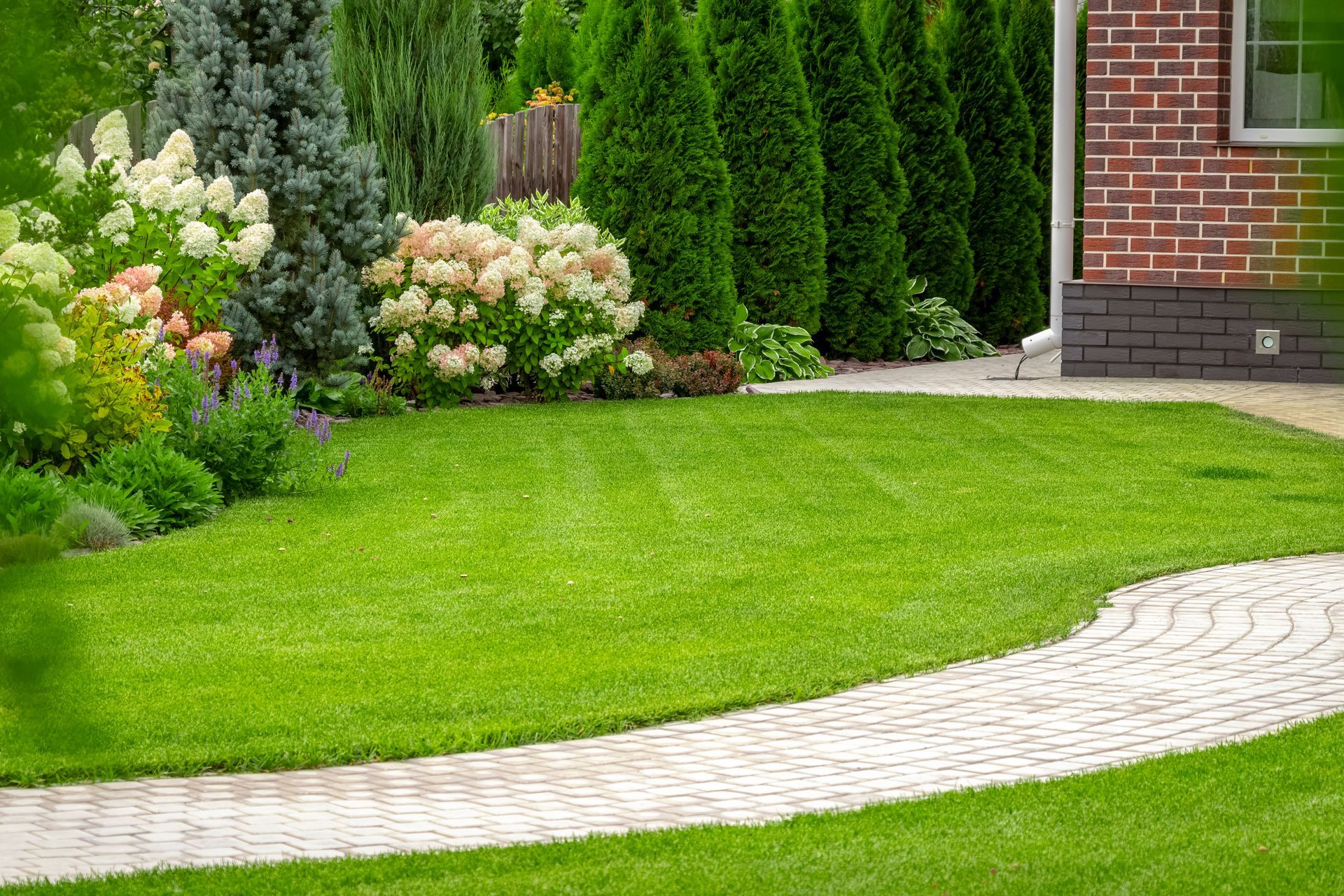 Lush green lawn with a curved stone pathway, bordered by colorful flowering shrubs and evergreen trees near a brick house. Lush green lawn with a curved stone pathway, bordered by colorful flowering shrubs and evergreen trees near a brick house.