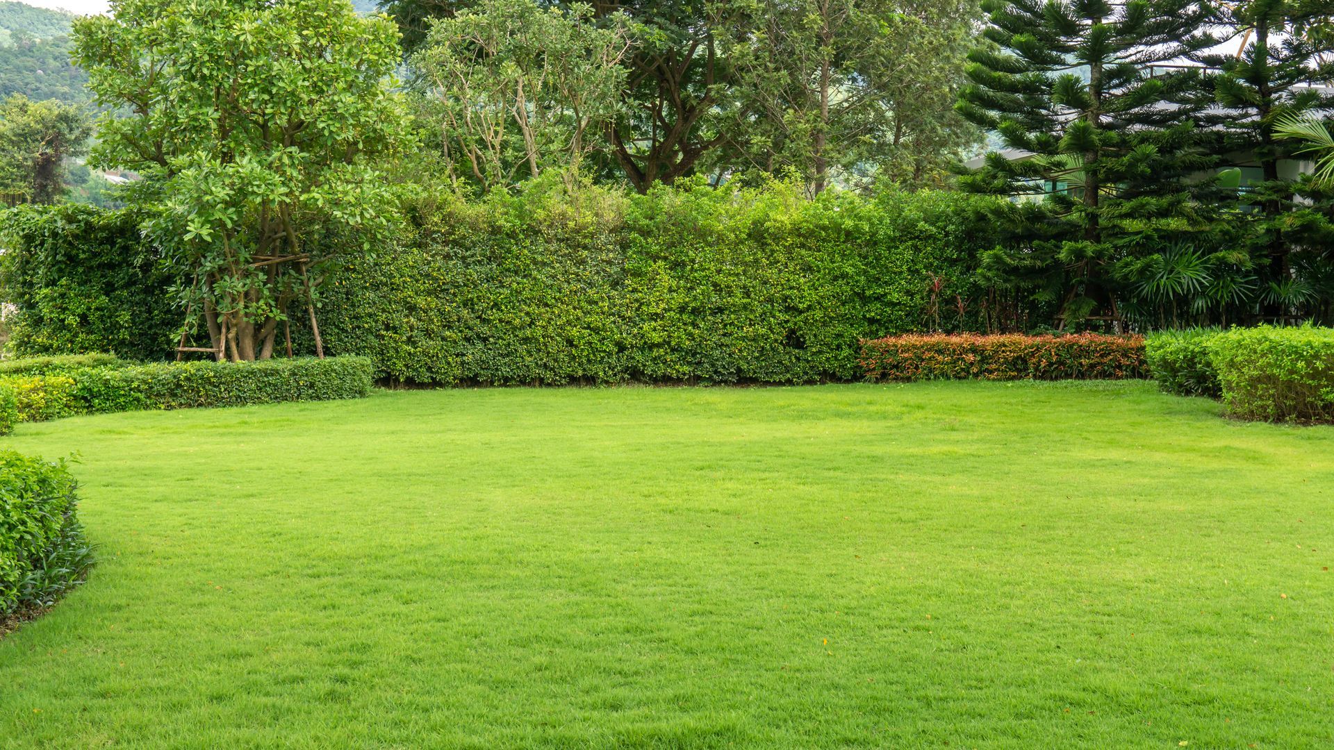 Lush green lawn surrounded by neatly trimmed hedges and trees. Lush green lawn surrounded by neatly trimmed hedges and trees.