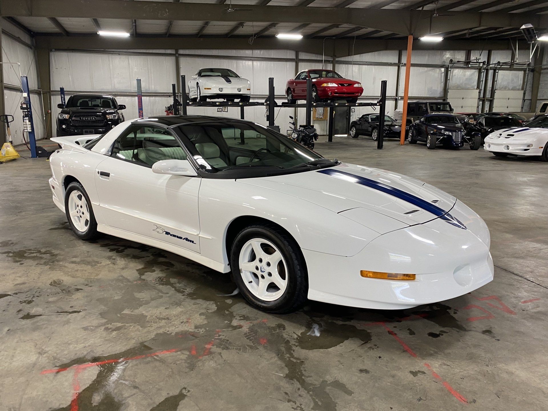 White Chevrolet Corvette convertible in a warehouse garage, with a blue racing stripe and black top.