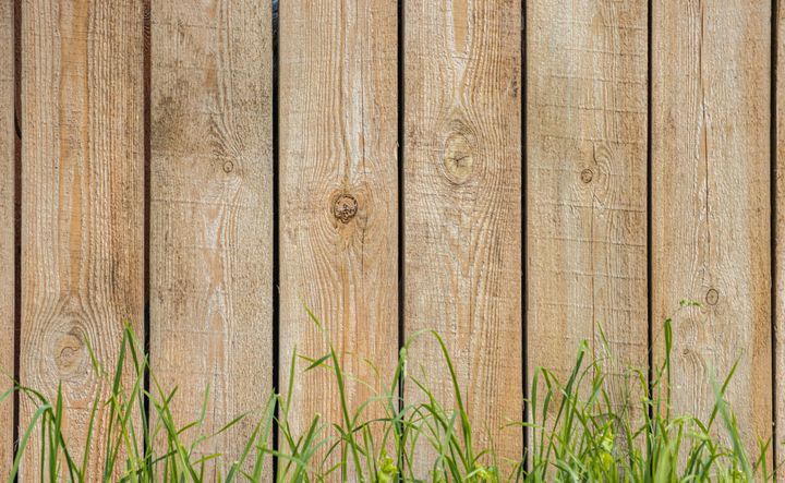 Wooden fence with green grass at the base.