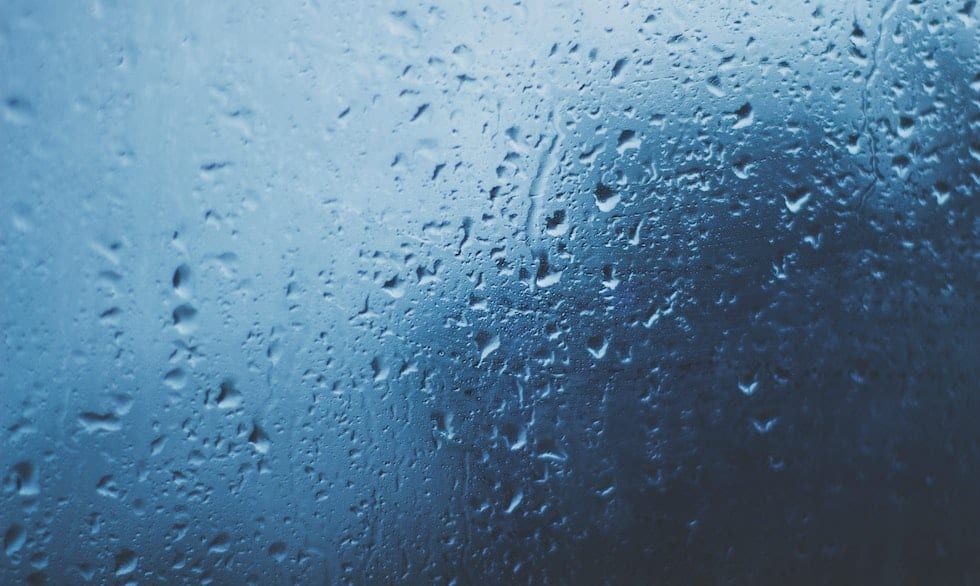 Rain and moisture
