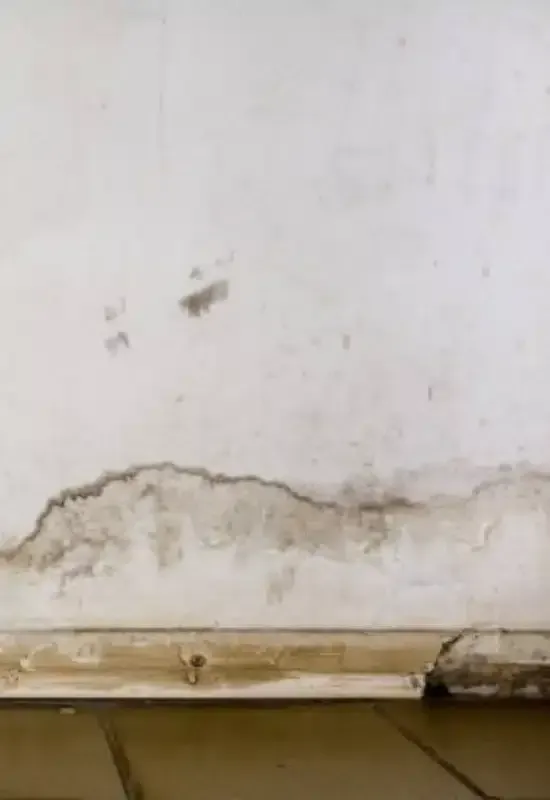 Water Stain
