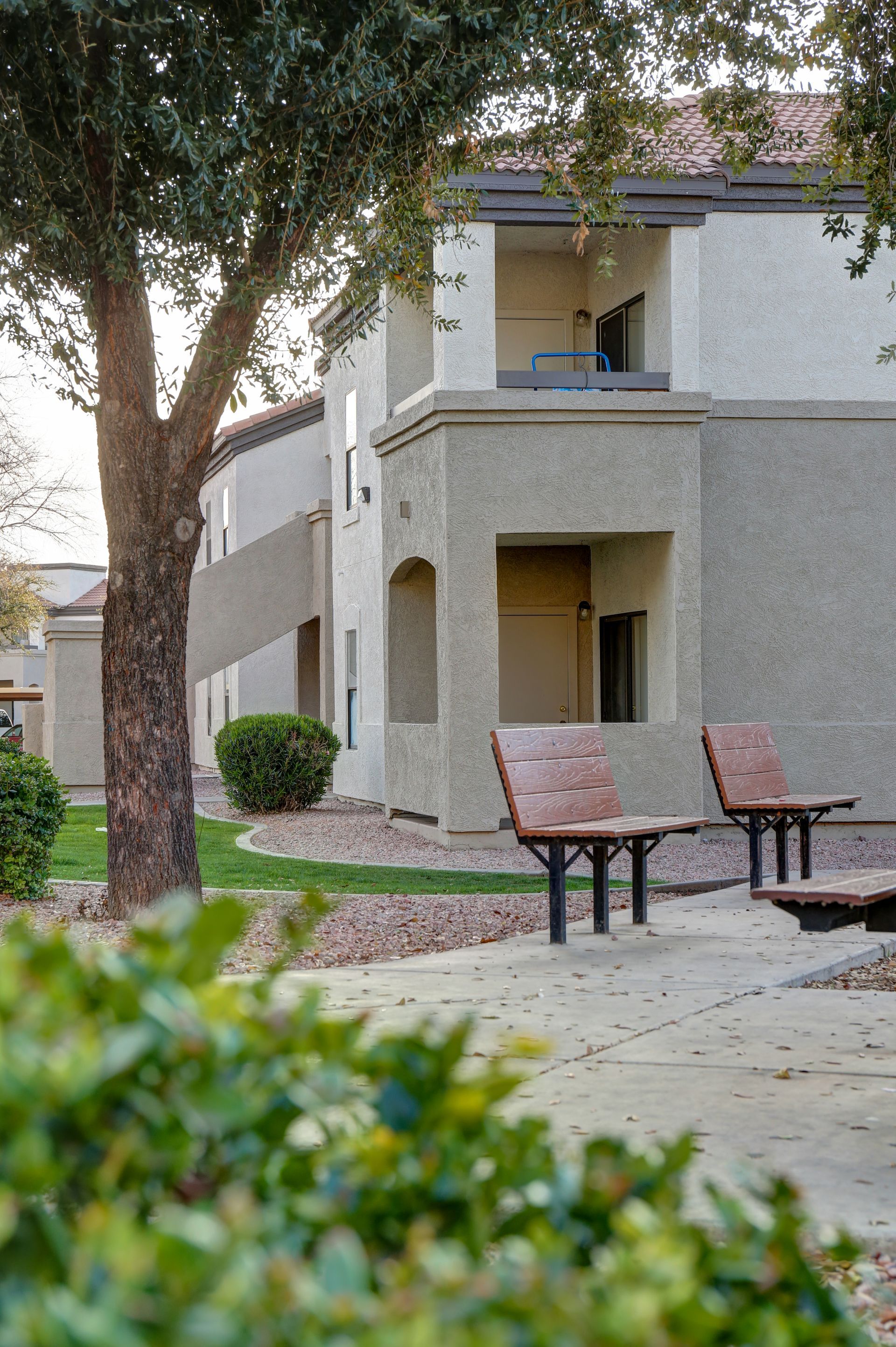 Apartment courtyard with trees, grass, and benches beside a beige stucco building