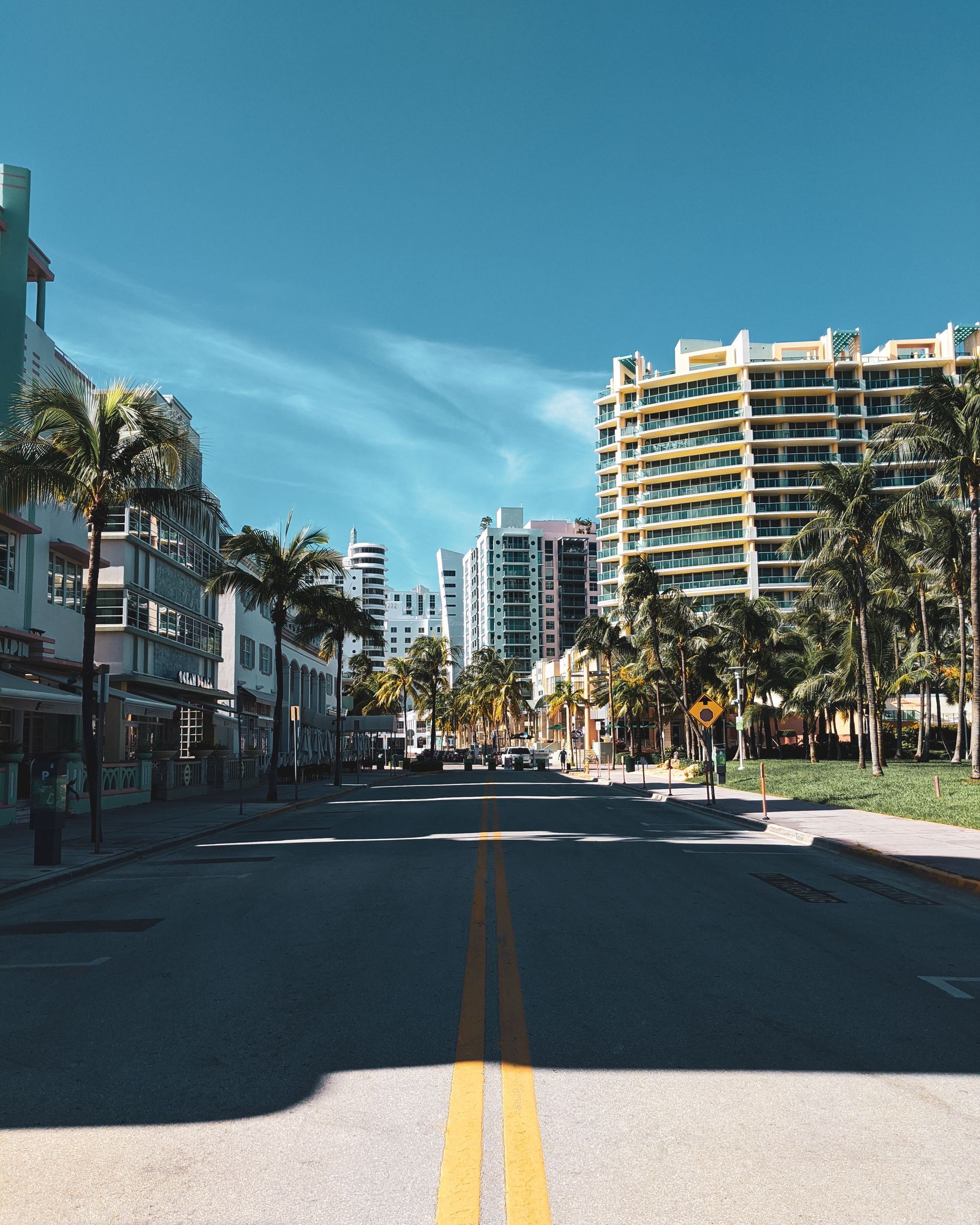 A palm-lined Miami Beach avenue looking north, hotel towers along the Collins corridor