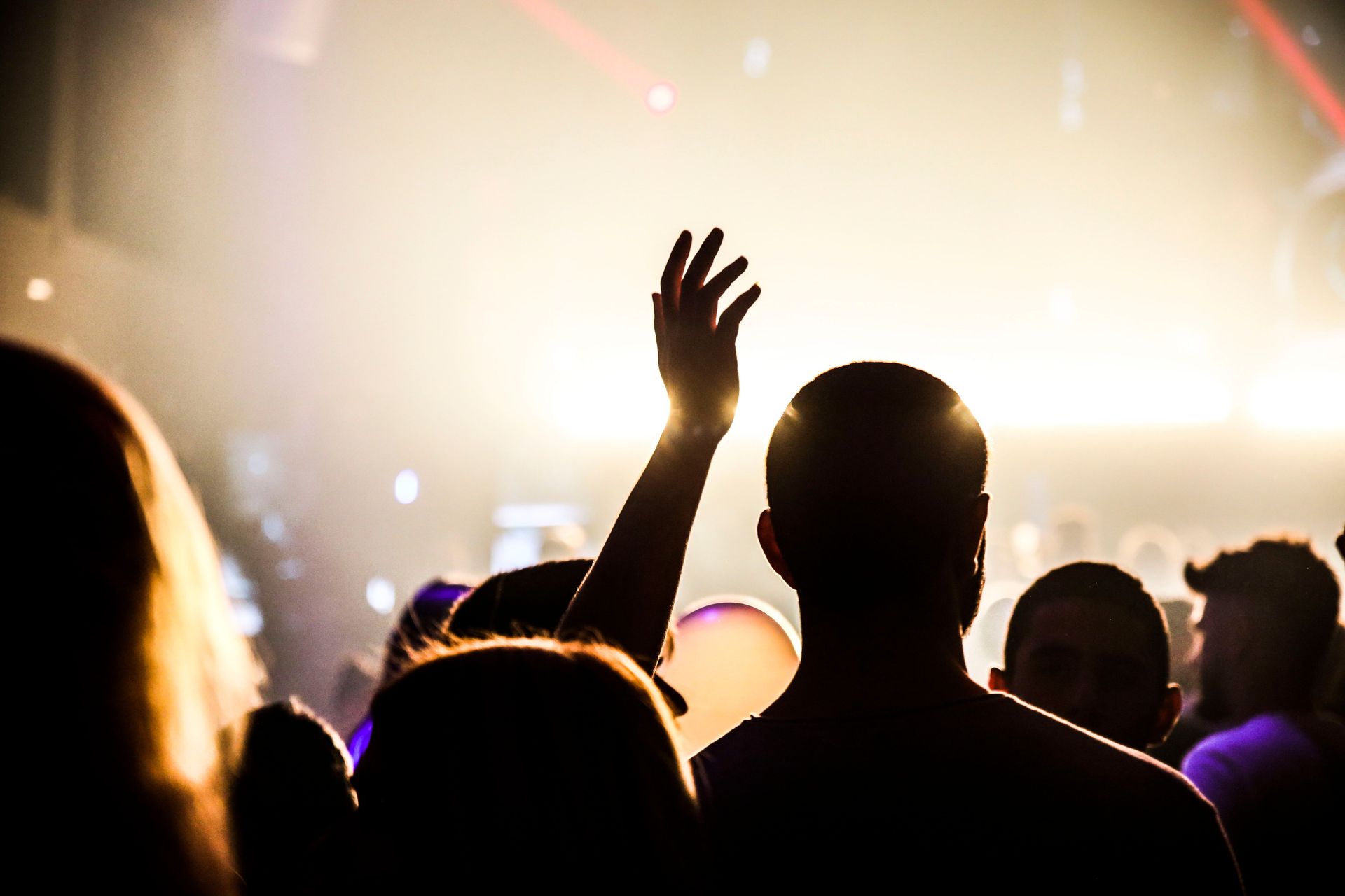 Silhouetted concert crowd with a hand raised against warm stage lighting