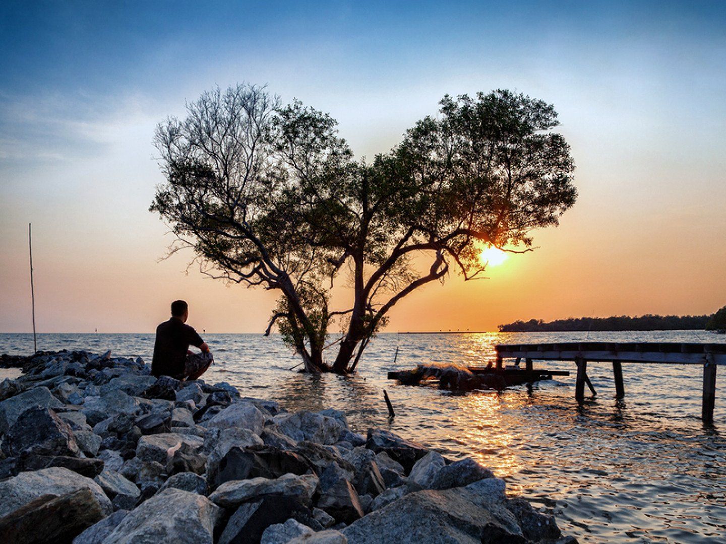 Man Sitting on Rocky Shore