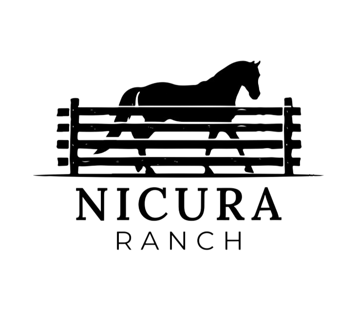 Black horse standing behind a fence above the text &ldquo;NICURA RANCH&rdquo;