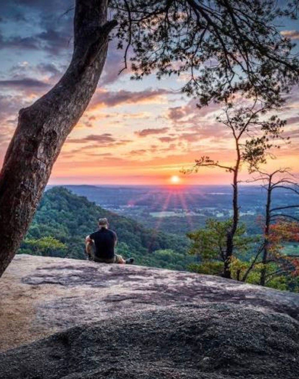 Man sits on top of a mountain at sunset looking at the forest below.
