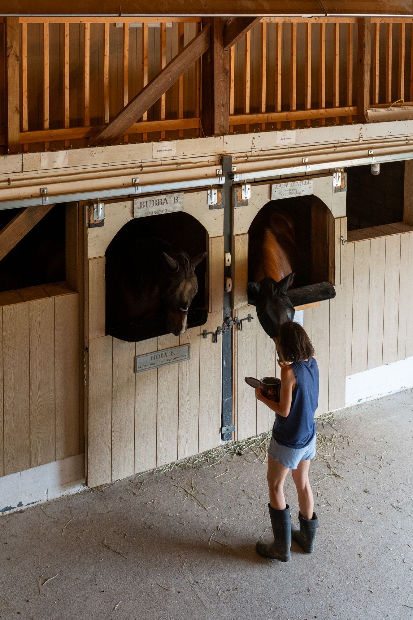 Person feeding a horse through a stable stall window in a barn