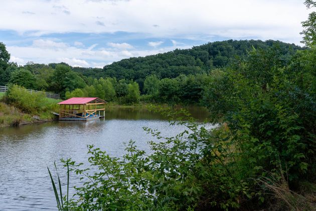 Lush green lakeside with a small pink-roofed gazebo and calm water under a cloudy sky