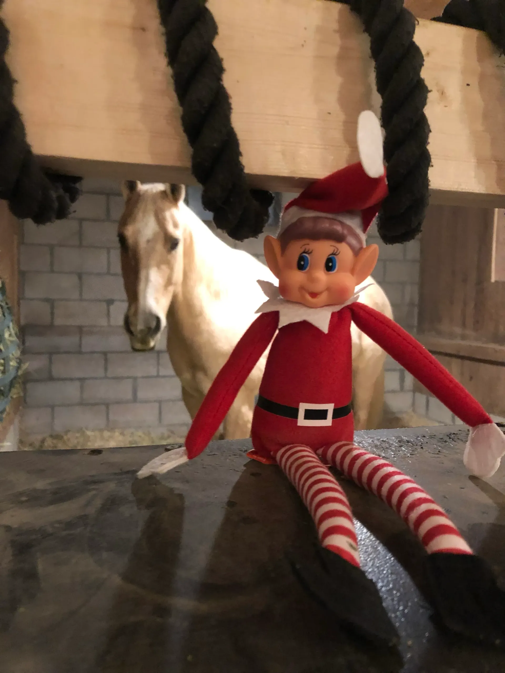 Elf doll sitting on a horse statue in a stable with hanging ropes