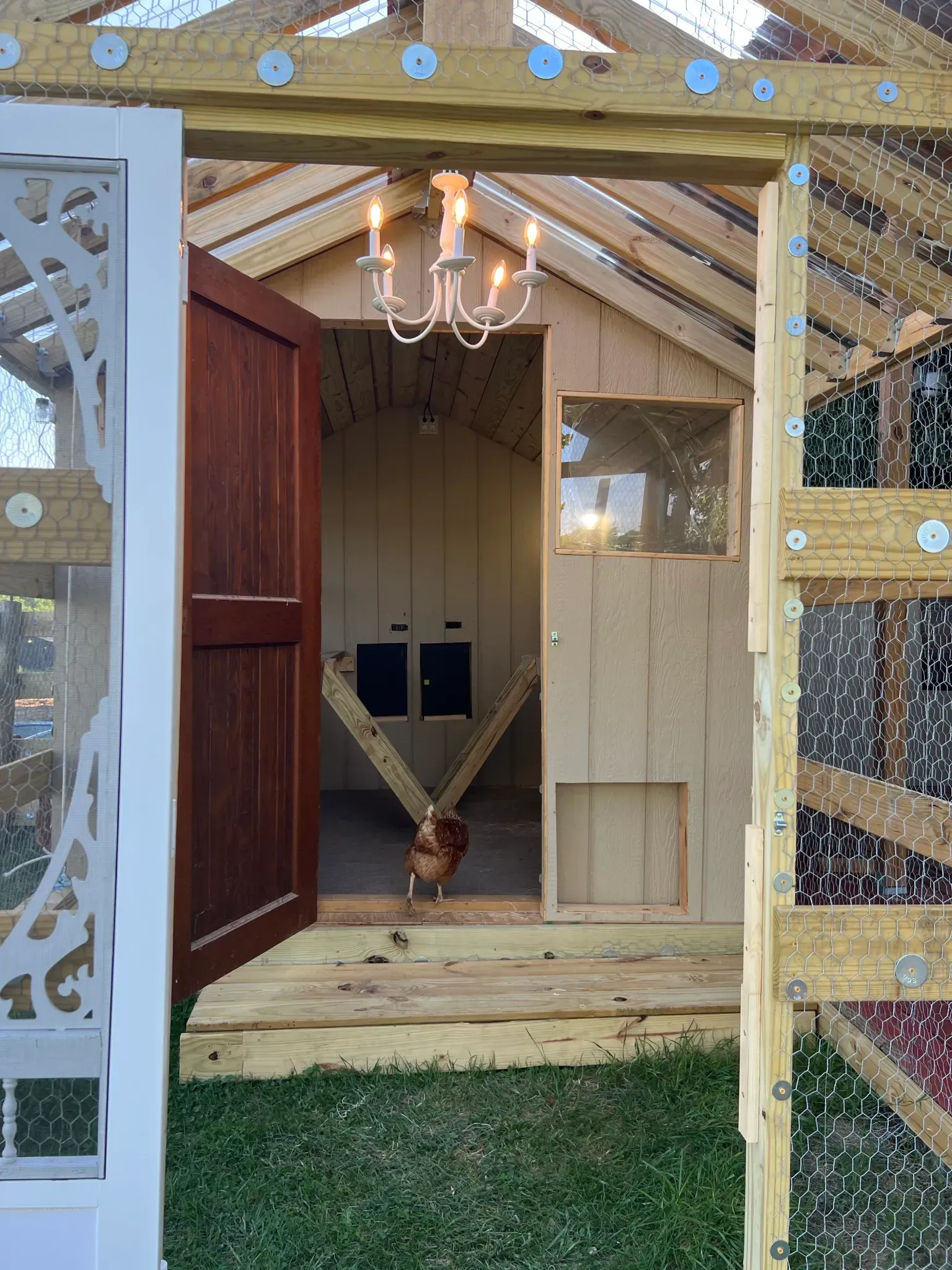Wooden chicken coop entrance with a chandelier and a chicken standing on the floor inside