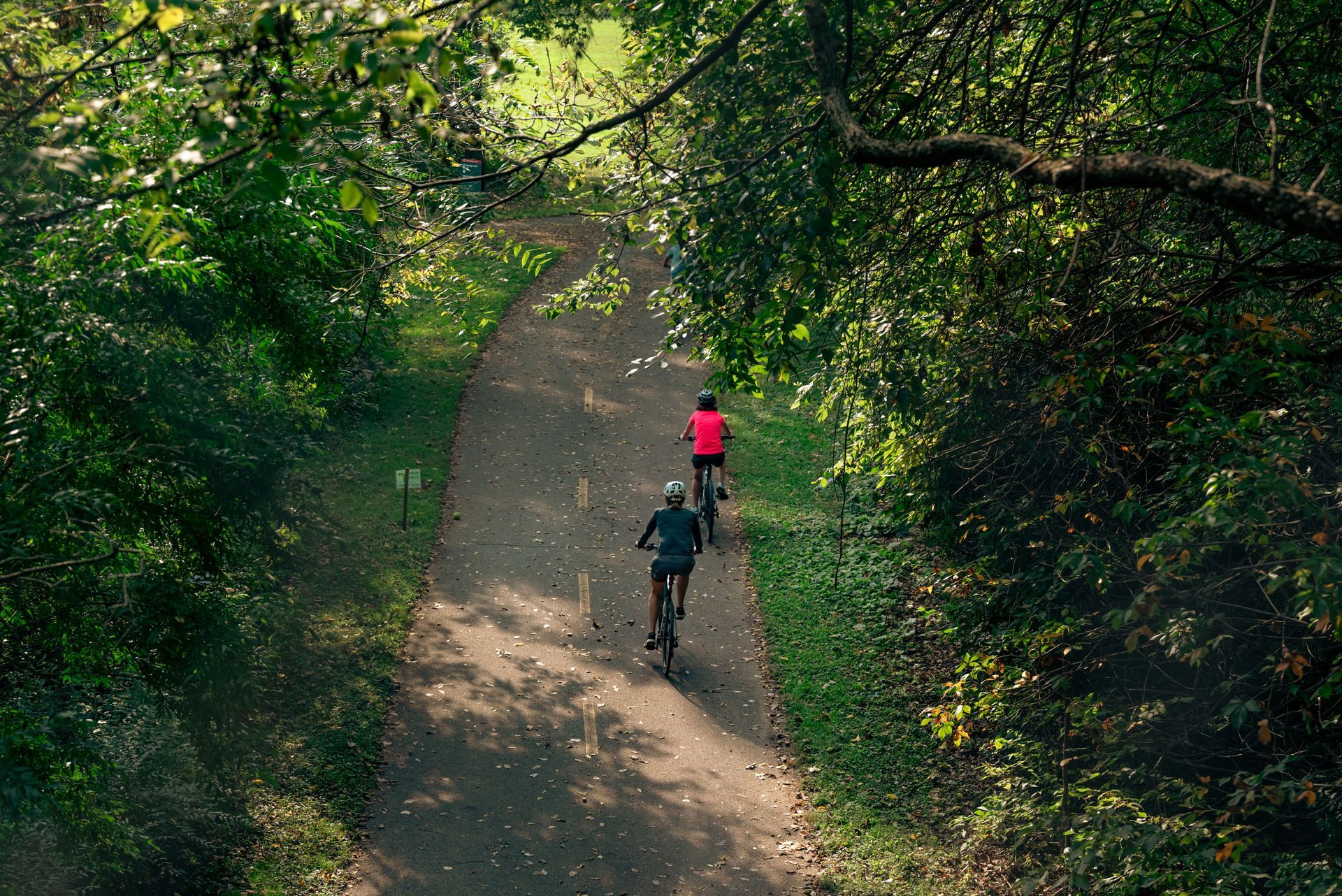 Two cyclists ride along a narrow forest path under dense green trees.