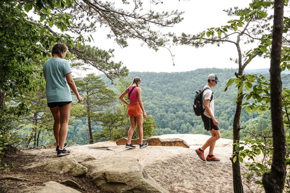 Three hikers standing on a rocky overlook, looking out over a forested valley.