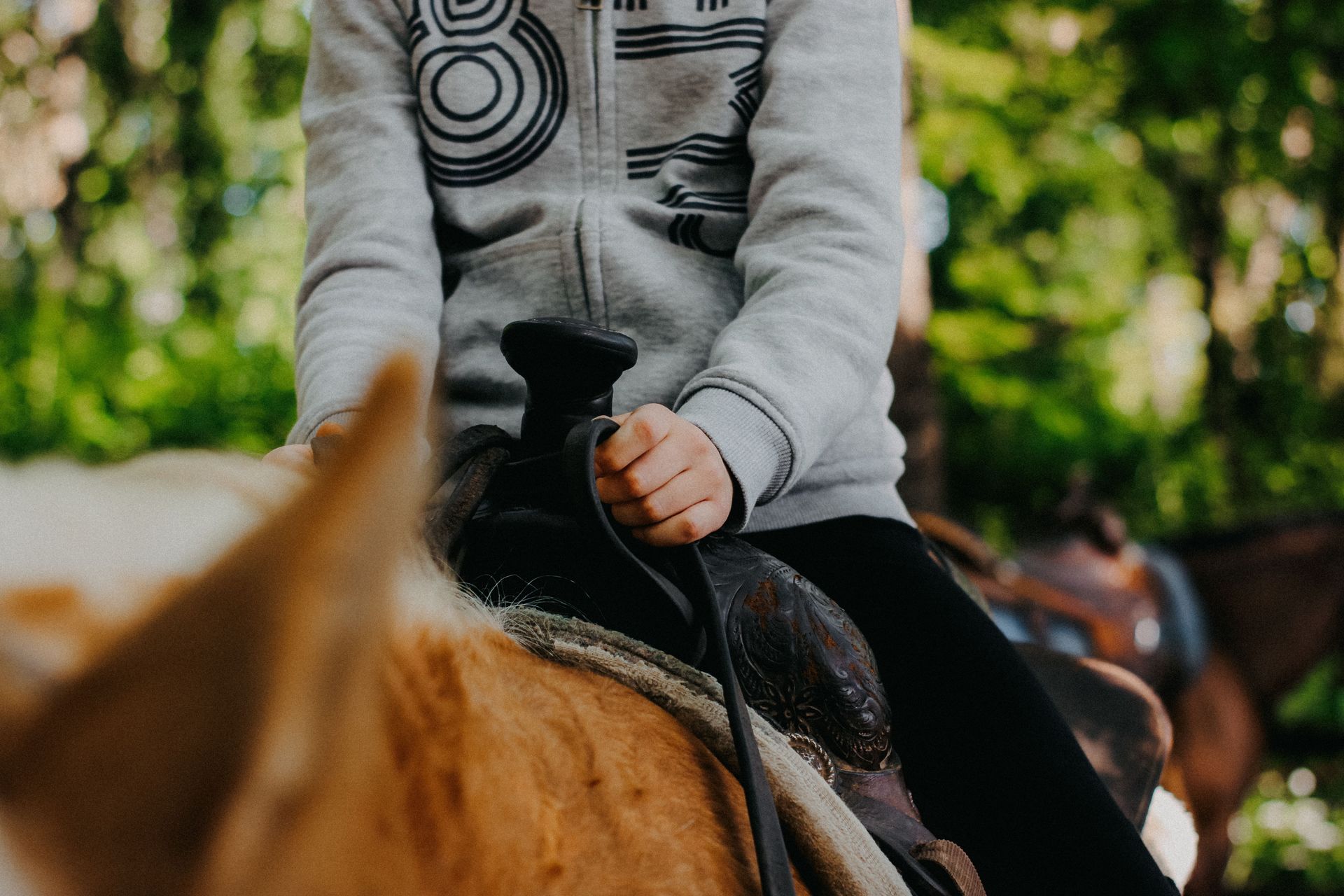 Person riding a brown horse outdoors, holding the reins near another horse in the background