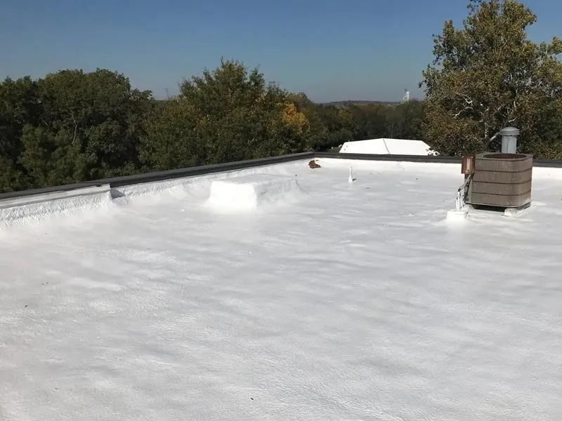 A white roof with trees in the background on a sunny day.