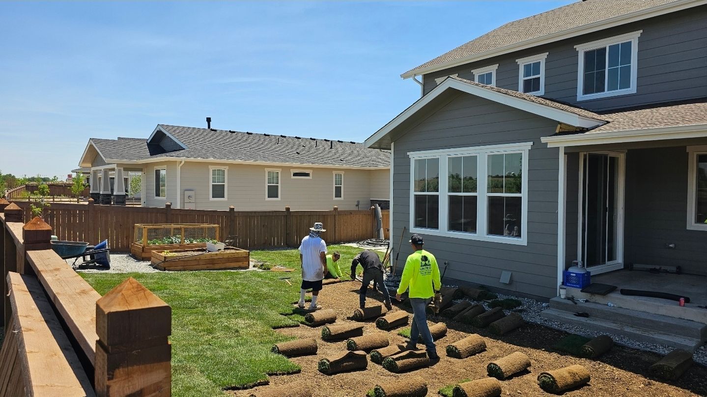 Three workers install patches of grass sod in the backyard of a grey house on a sunny day.