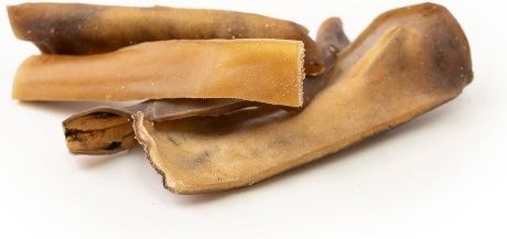 Pele de Camelo (M)