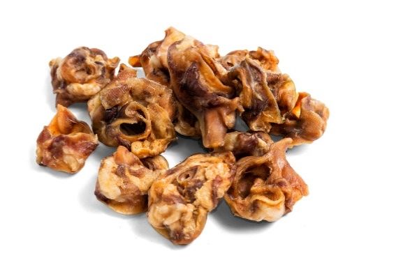 CROCANTES AURICULAR/ORELHA  PORCO