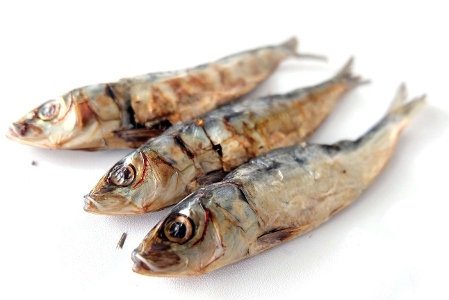 Sardinha - Bolsa 70g