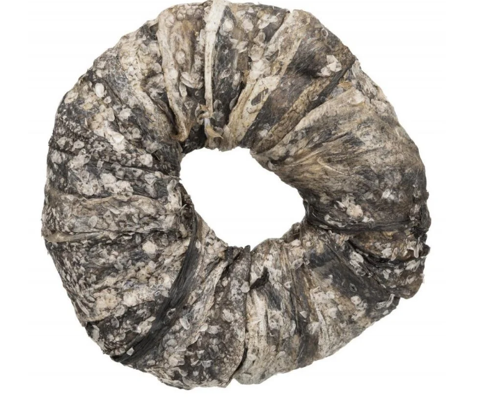 Donut de bacalhau