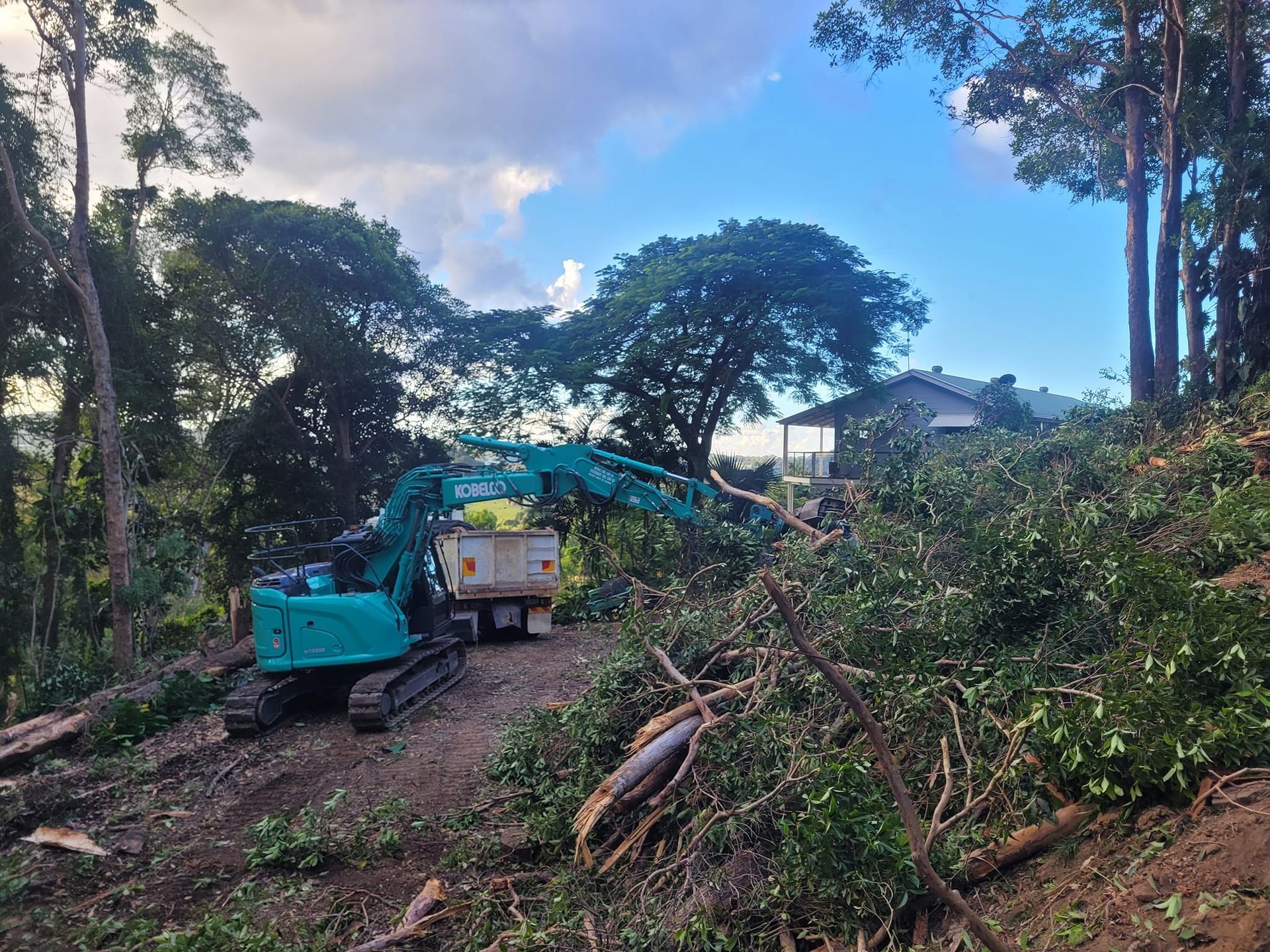 A blue excavator is cutting down trees in a forest. — Al's Excavation in Sunshine Coast, QLD