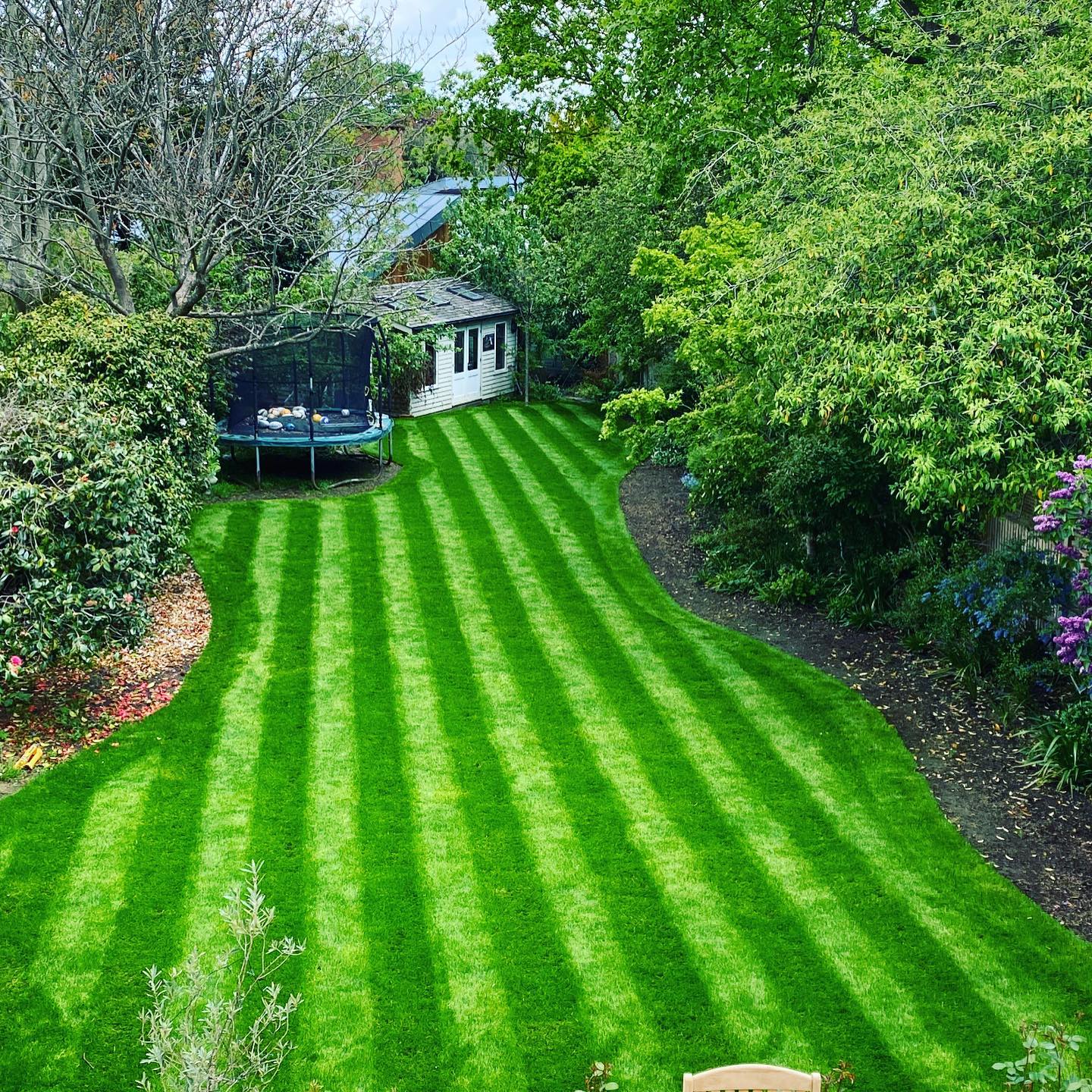 premium grade turf