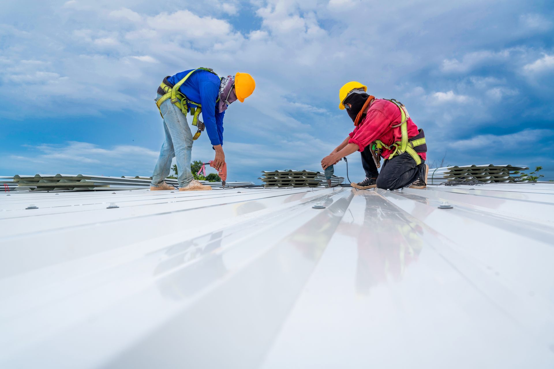 Two roofers in harnesses on a metal roof, installing fasteners. Blue sky overhead. Two roofers in harnesses on a metal roof, installing fasteners. Blue sky overhead.