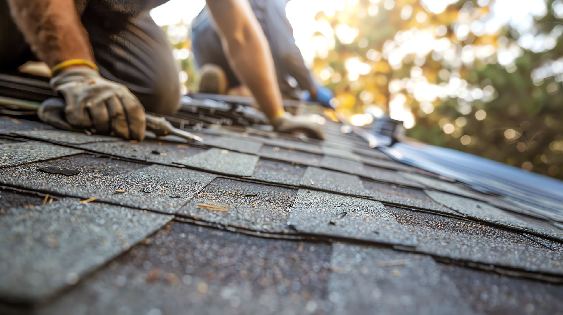 Close-up of workers installing new shingles on a residential roof during a sunny day. Close-up of workers installing new shingles on a residential roof during a sunny day.
