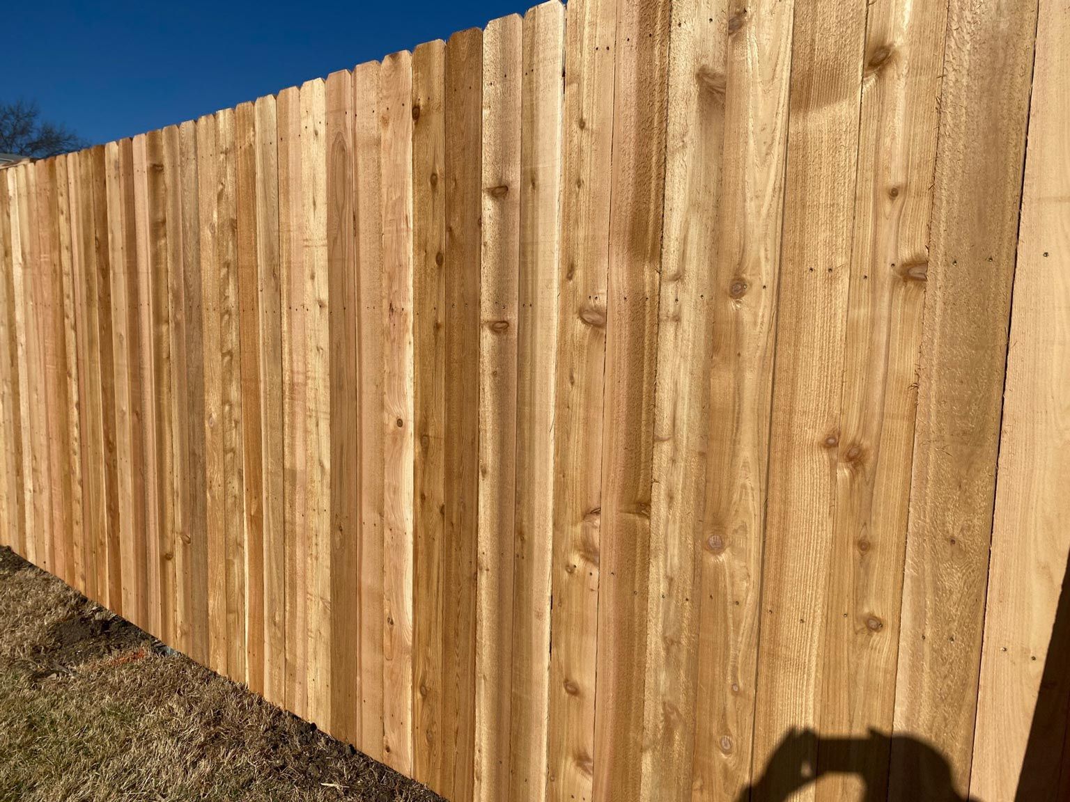 A close up of a wooden fence with a blue sky in the background.