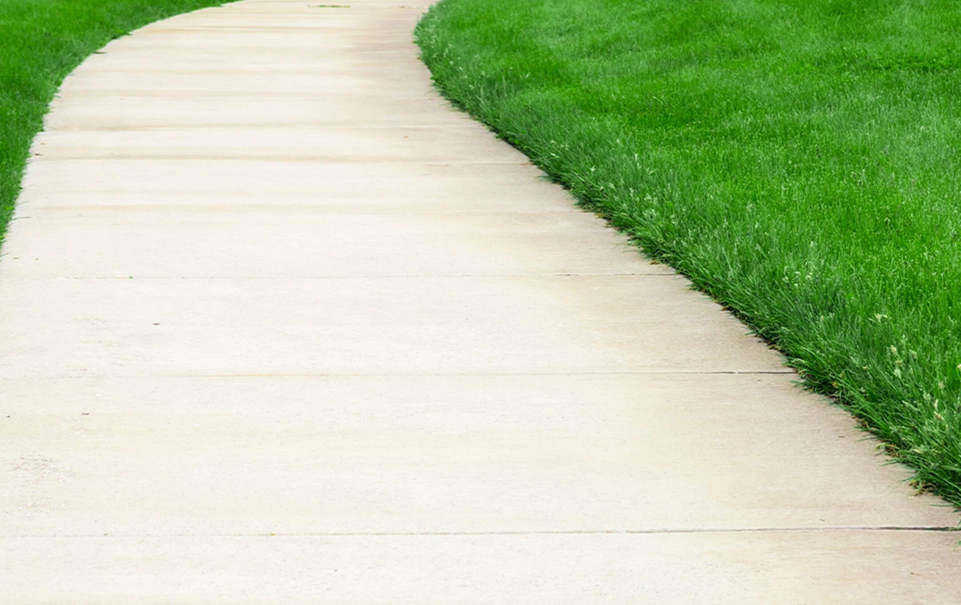 A wooden walkway going through a lush green lawn.