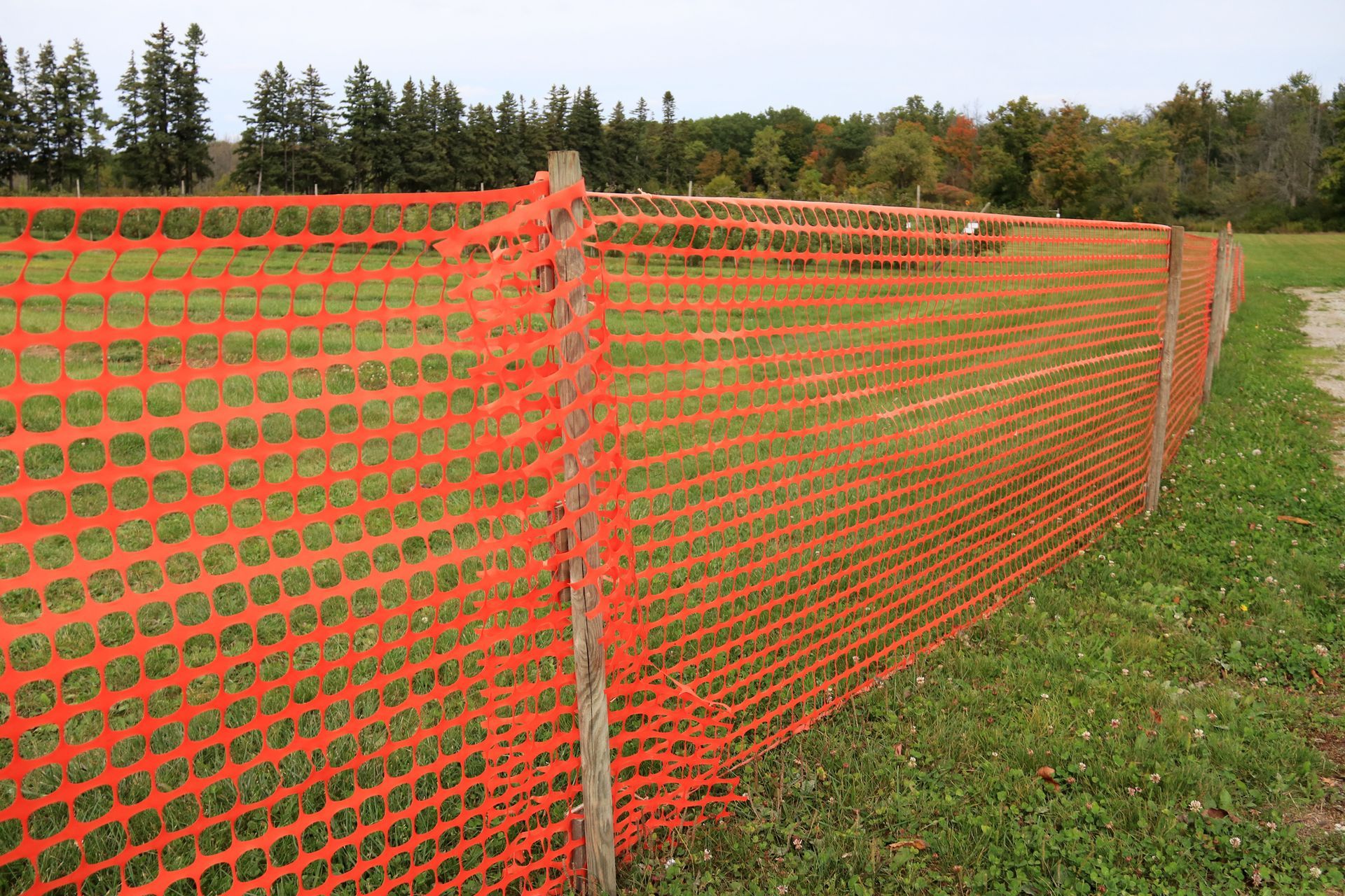 A person is using a drill to drill a hole in a wooden fence.