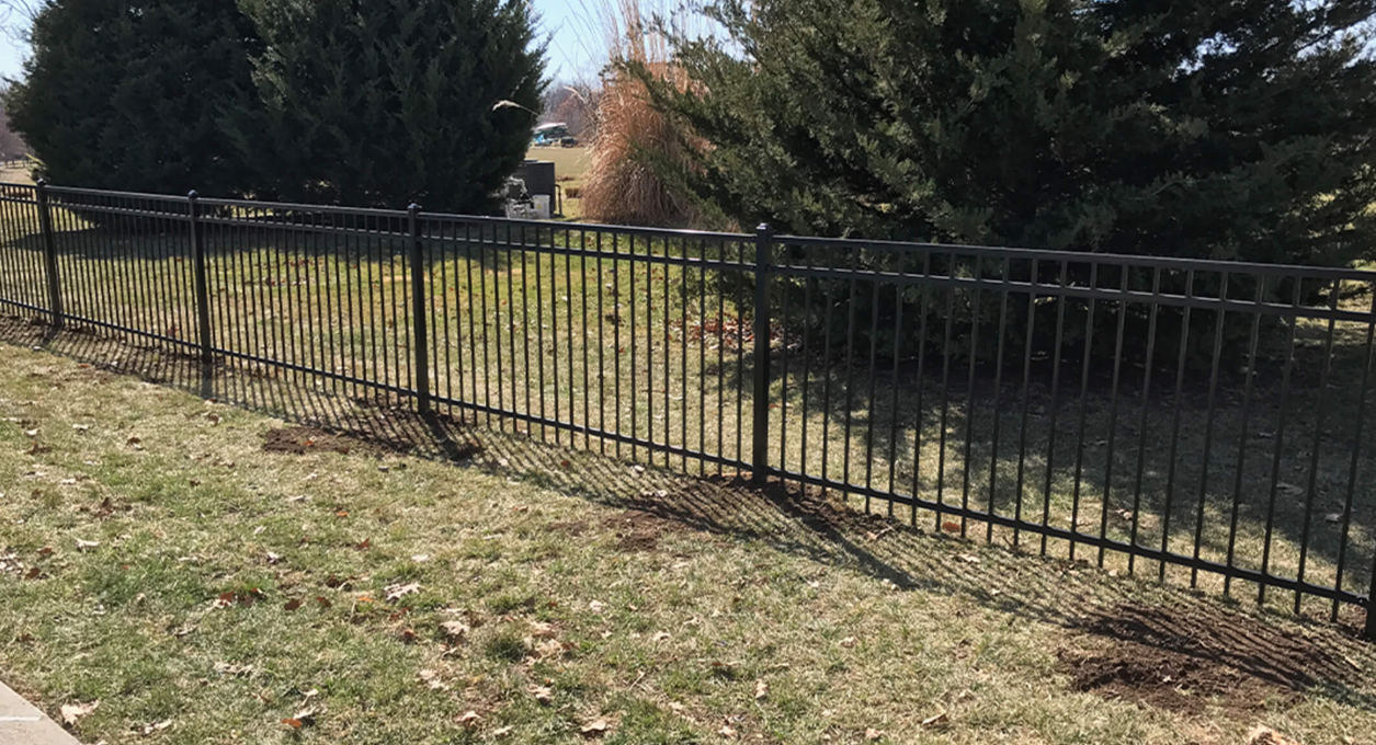 A black metal fence surrounds a grassy field with trees in the background.