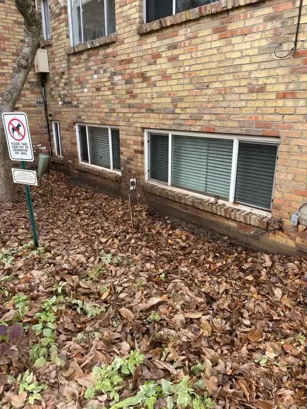 Brick building wall with basement windows and a “no parking” sign beside leaf-covered ground