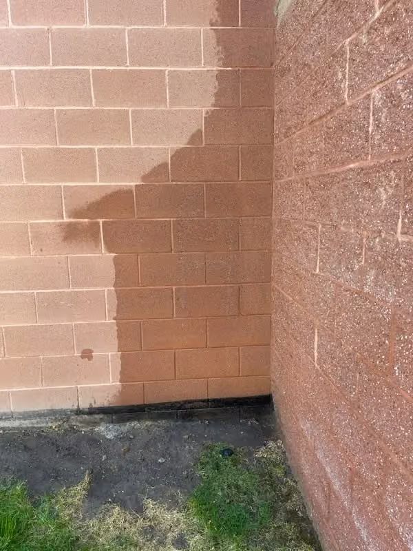 Shadow on tan brick wall beside a corner of a building and a small patch of grass.
