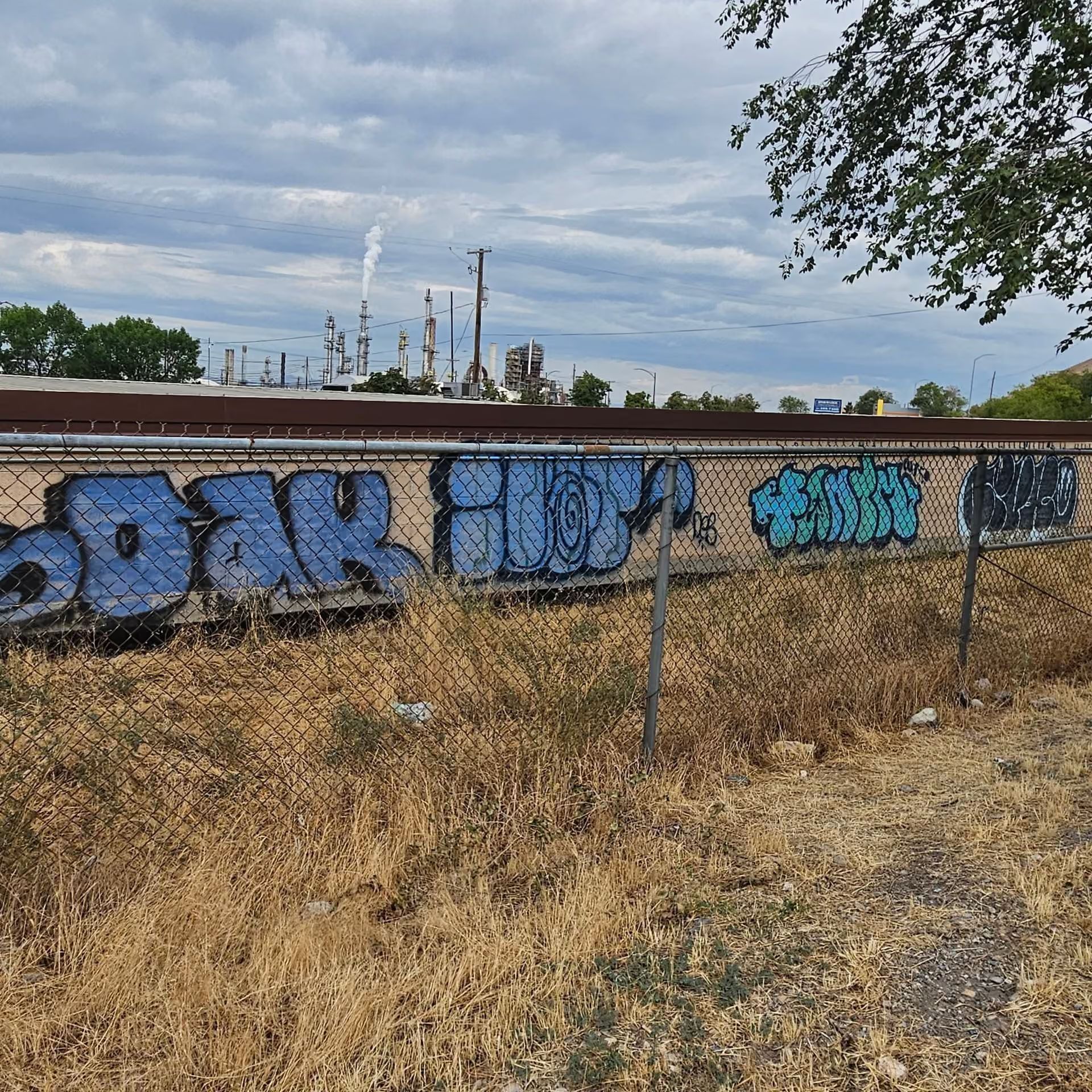 Graffiti-covered brick wall behind dry grass under a cloudy sky, with industrial towers in the distance
