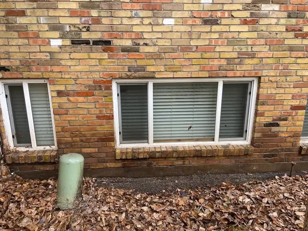 Brick building wall with two basement windows and a green utility pipe amid fallen leaves.