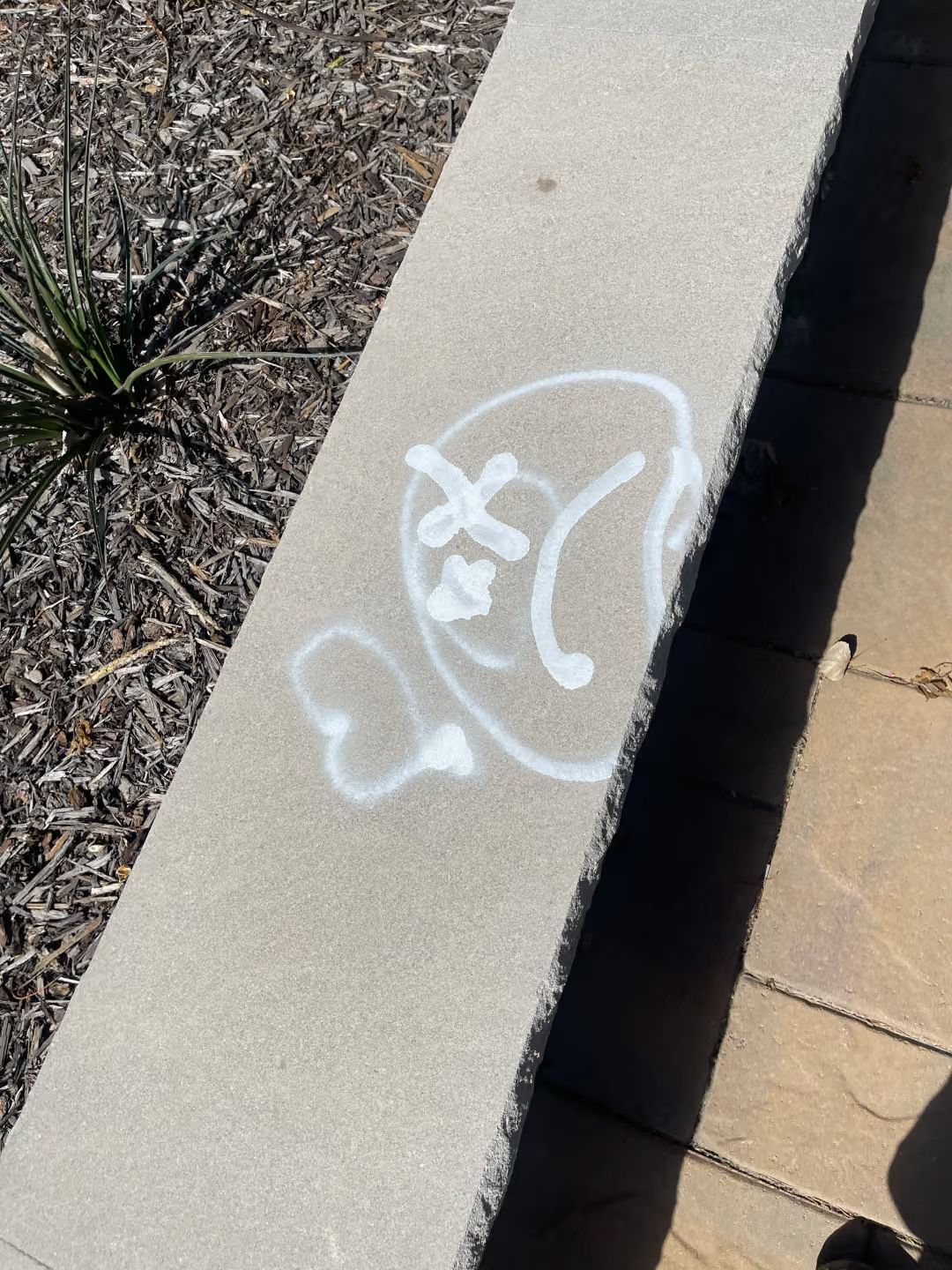 White chalk graffiti on a concrete ledge beside a sidewalk and dry landscaping.