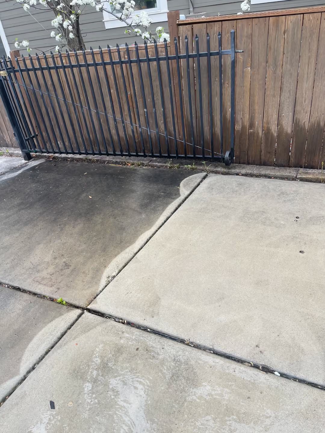 Concrete driveway beside a black metal gate and wooden fence with a wet patch near the curb.