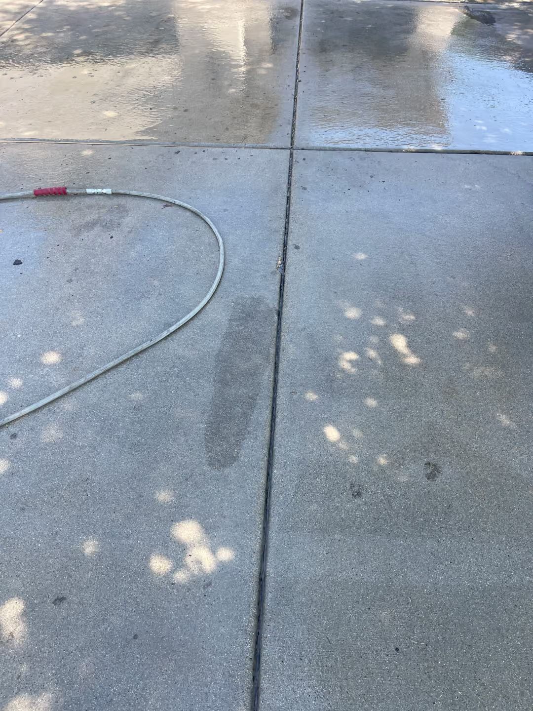 Wet concrete driveway with a garden hose and scattered sunlight spots