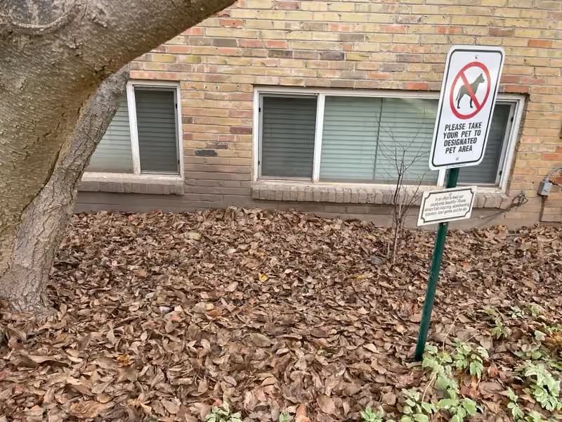 No dogs allowed sign beside a brick house with fallen leaves and a tree trunk