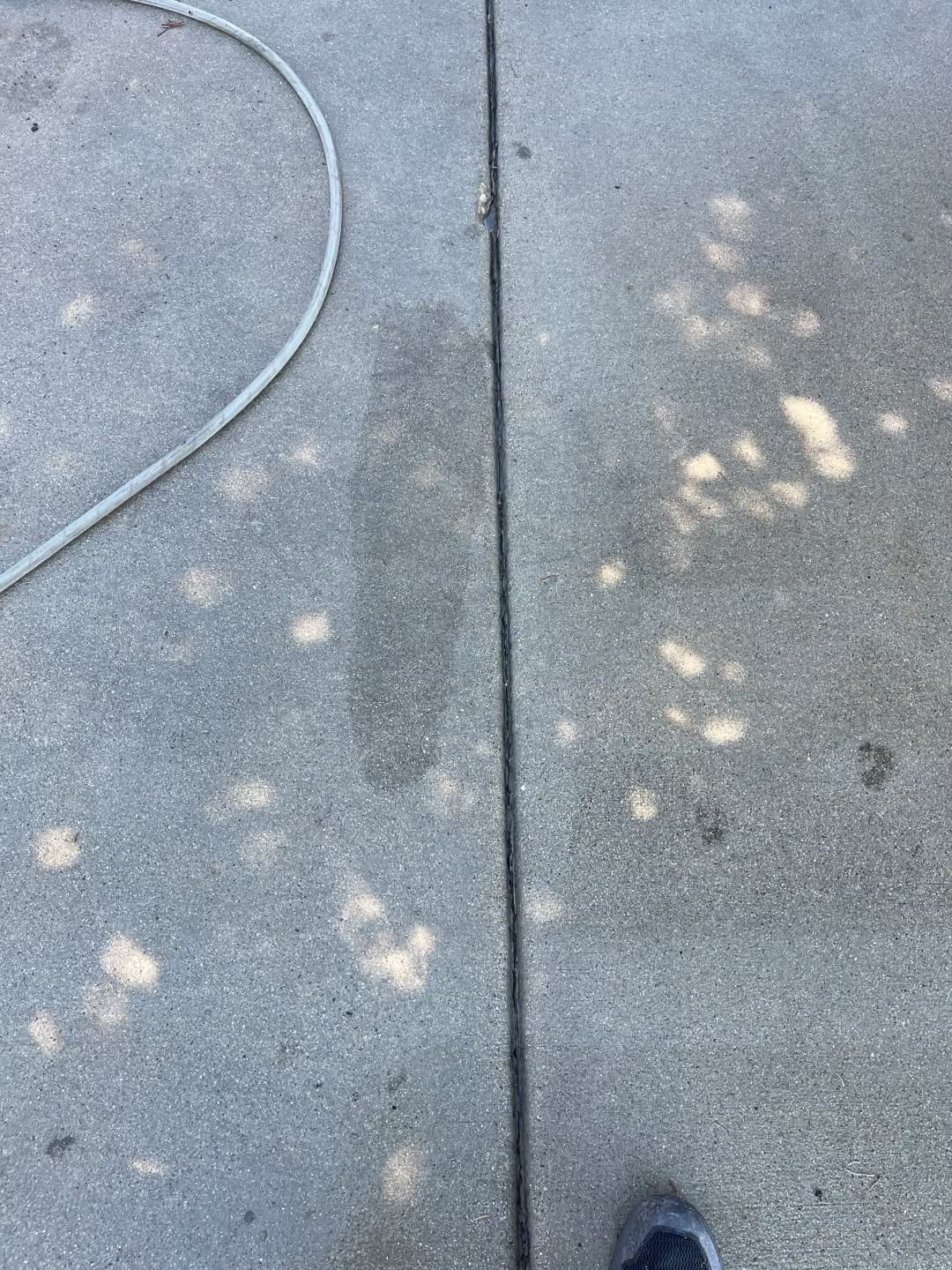 Sidewalk with scattered pale spots and a coiled cable, with the tip of a shoe at the bottom edge