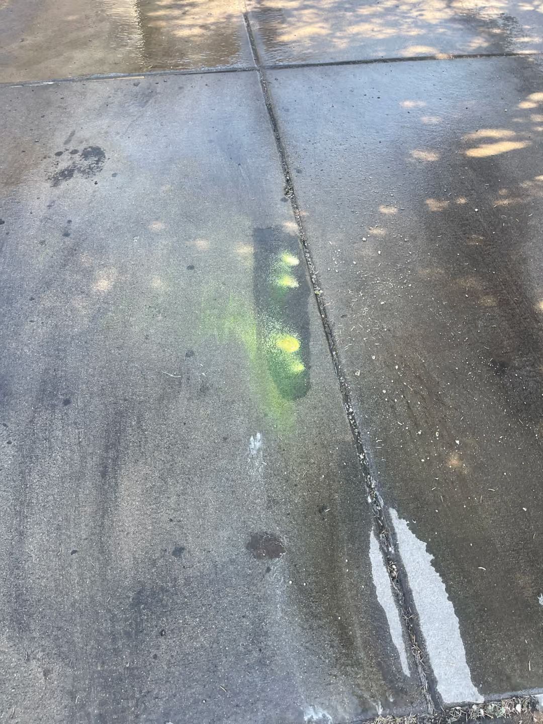 Wet concrete sidewalk with a green paint spill and a white painted line.