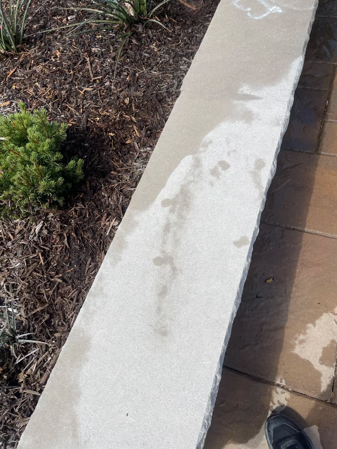 White walkway edge with water stains beside brown mulch and a small green shrub