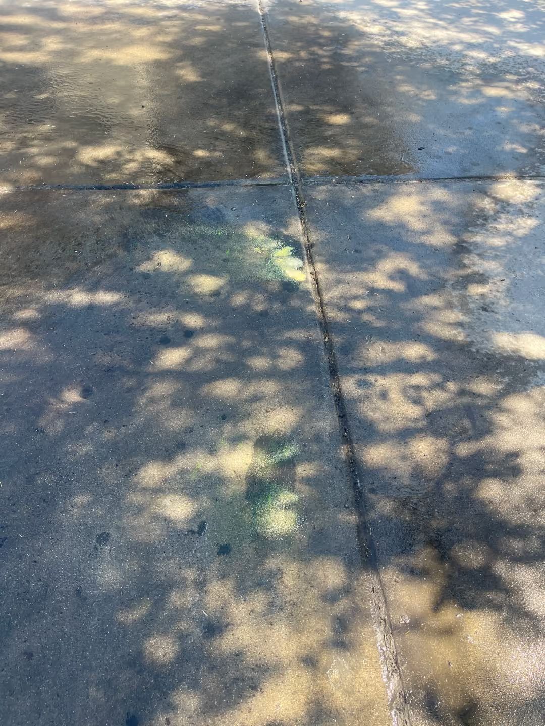Shaded concrete sidewalk with dappled sunlight and scattered greenish spots