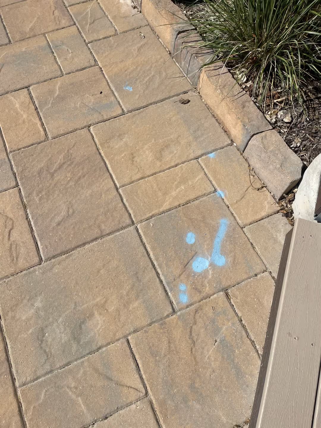 Tan stone paver walkway with blue paint marks beside a curb and plants