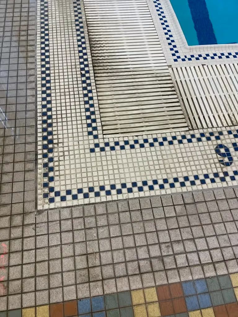 Tiled pool deck with blue and beige mosaic border beside water.